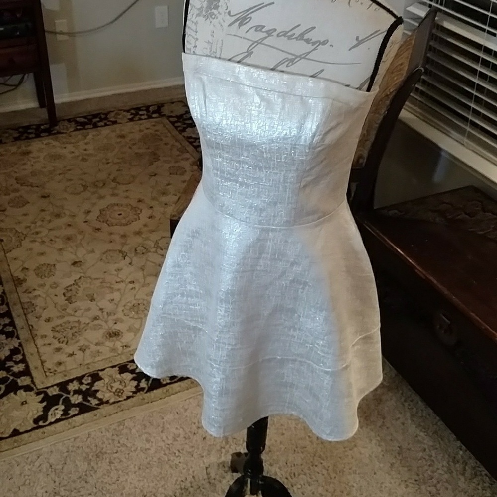 Silver Shimmer Skater Dress